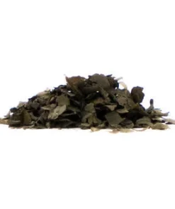Salvia Extract 20X kaufen