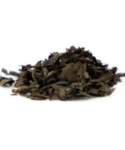 Salvia Extract 40X kaufen