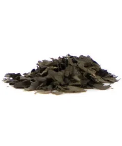 Salvia Extract 60X kaufen