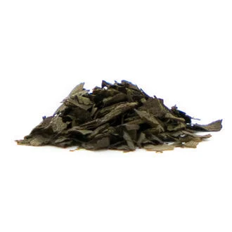 Salvia Extract 80X kaufen